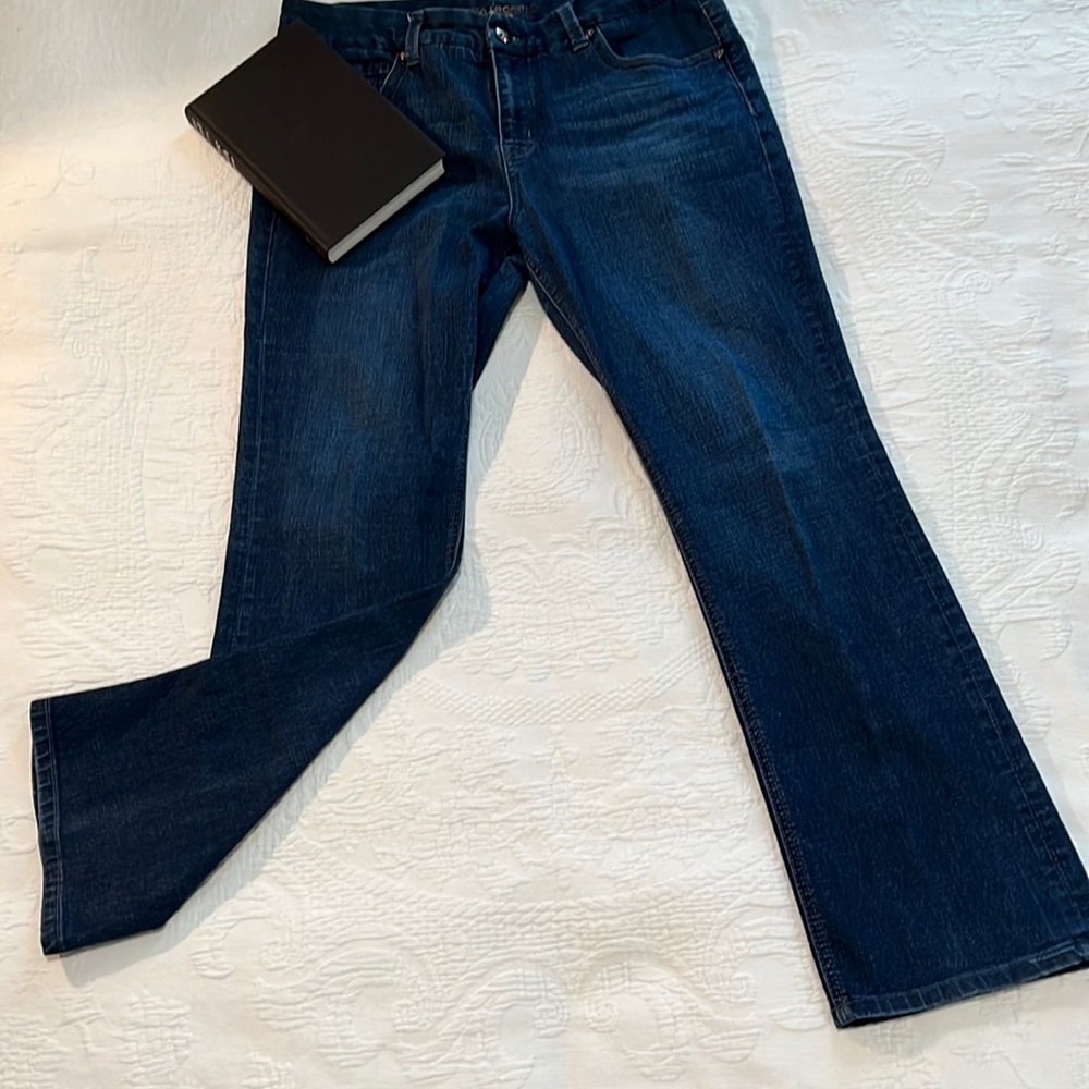 Seven7 Melissa McCarthy Slim Boot Cut Jean Size 16W